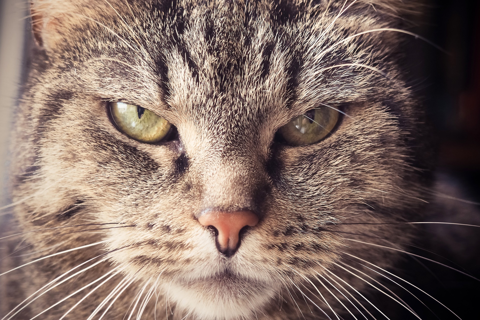 Avoid annoying your users, focus on being helpful